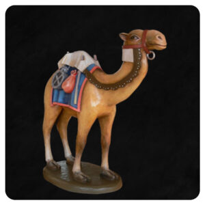 Wielbłąd stojący z bagażami